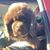 Nick Smith's profile image