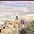 Coleton Younger's profile image