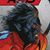 Jose Fuentes's profile image