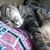 Ginette Lindberg's profile image