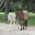Sherry Campbell Dollar's profile image