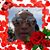Juliet Griffin's profile image