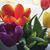 Andrea Smith Heitker's profile image