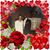 Alfred Johnson's profile image