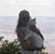Suzanne Saintjohn's profile image