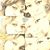 Mayra Chevez's profile image