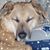 Jane McKee Durning's profile image