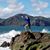 Zachary Basanese's profile image