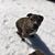 Holly Neumann's profile image