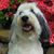 Carolin Kline's profile image