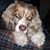 Patty Hax LeCompte's profile image