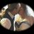 Danielle Leigh Martin's profile image