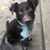 Irene Stencel's profile image
