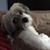 AnnMarie Riginio Bruzzo's profile image
