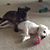 Susan Hollis's profile image