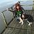 Donna Ruth Ginn Hamm's profile image