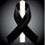 Mike Molina's profile image