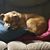 Gwen Bielke Jacobs's profile image
