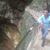 Khaled Bakhcha's profile image
