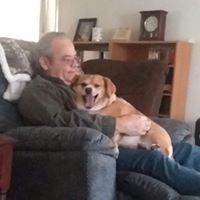 Dan Carlisle's profile image