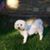 Sandy Kratky Raudenbush's profile image