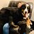 Megan Joseph Jeanette's profile image