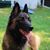 Dawn Kundert's profile image
