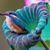 Joleen Hasker's profile image