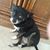 Jon Rundels's profile image