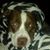 Nhoj Dnommurd's profile image