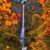 Barbara Ann Zihar's profile image