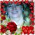 Wanda Evans's profile image