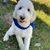 Christine Bauer Parsley's profile image