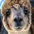 Jania Bravo's profile image
