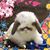Casey Smith's profile image