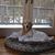 Cindy Martin Froslie's profile image