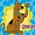 Karen Mittenzwei's profile image