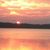 Alice Rasmussen-Strand's profile image