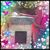 Ellen Brannigan's profile image