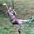 Stacey Hiles Thune's profile image