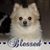 Jill Relph's profile image