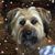 Paul Jewels's profile image