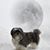Marybeth Neitznick Oakley's profile image