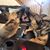 Kimberly Covert's profile image