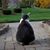 Megan McClatchy Lampinski's profile image