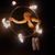 Cassandra King's profile image