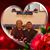 Donna Wise's profile image