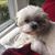 Barbara L Downs's profile image