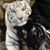 Timothy T. Harvell Sr.'s profile image