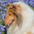 Debbie Mason Jones's profile image